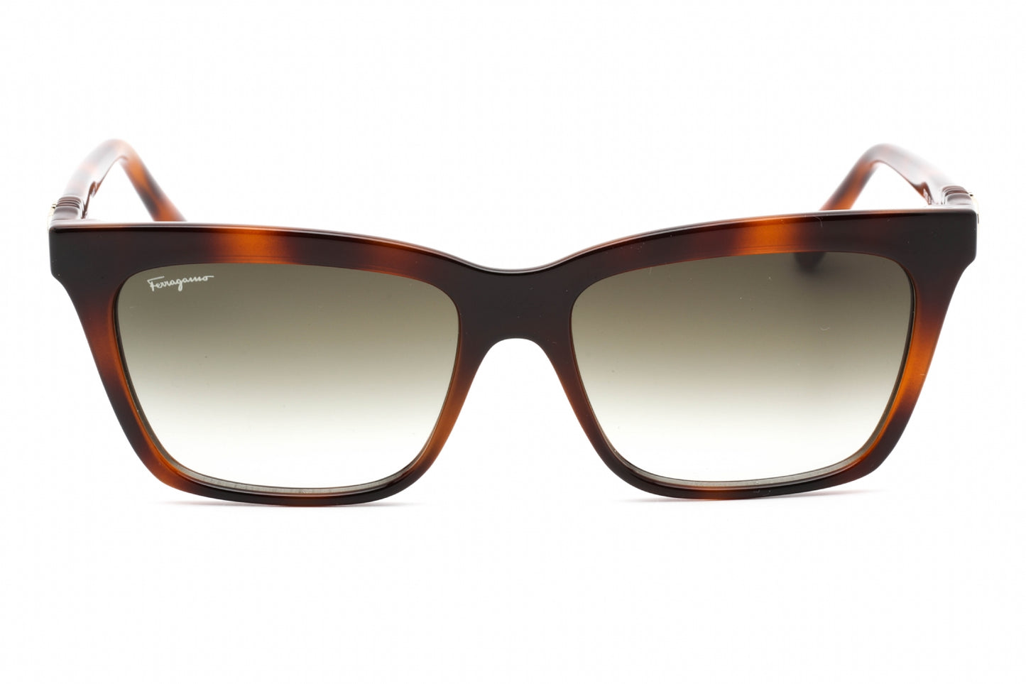 Salvatore Ferragamo SF1027S-214 55mm New Sunglasses