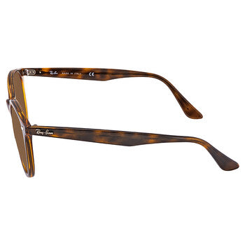Ray-Ban RB4305 710/83 53 53mm