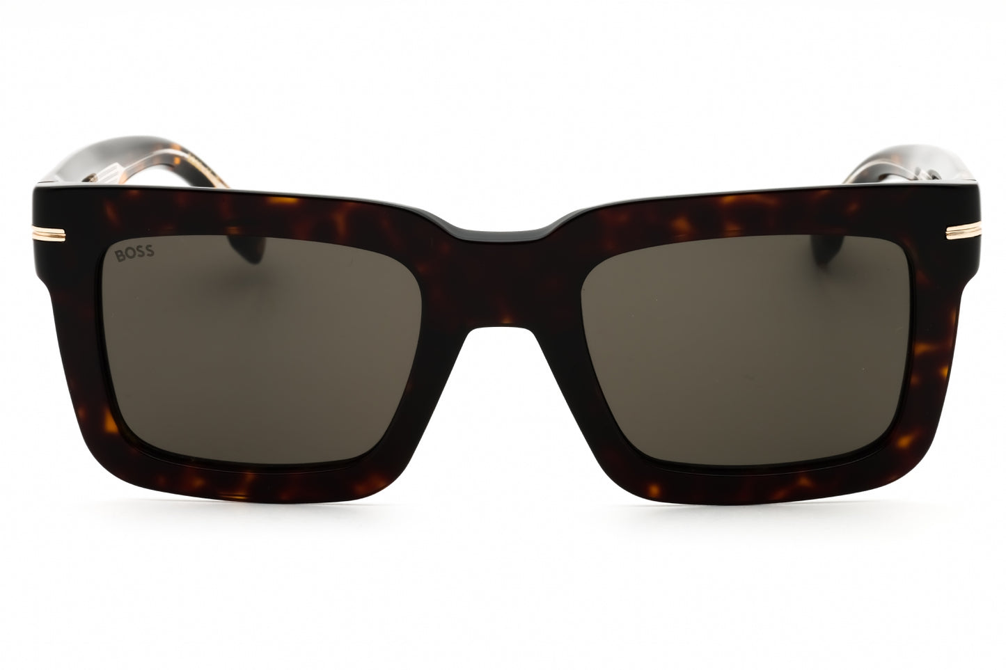 Hugo Boss BOSS 1501/S-0086 IR 51mm