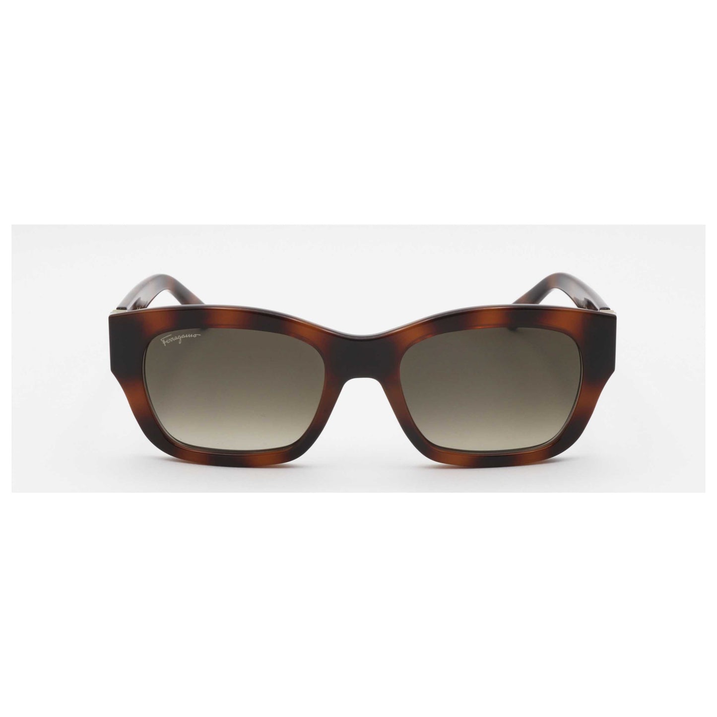 Ferragamo SF1012S-214 53mm