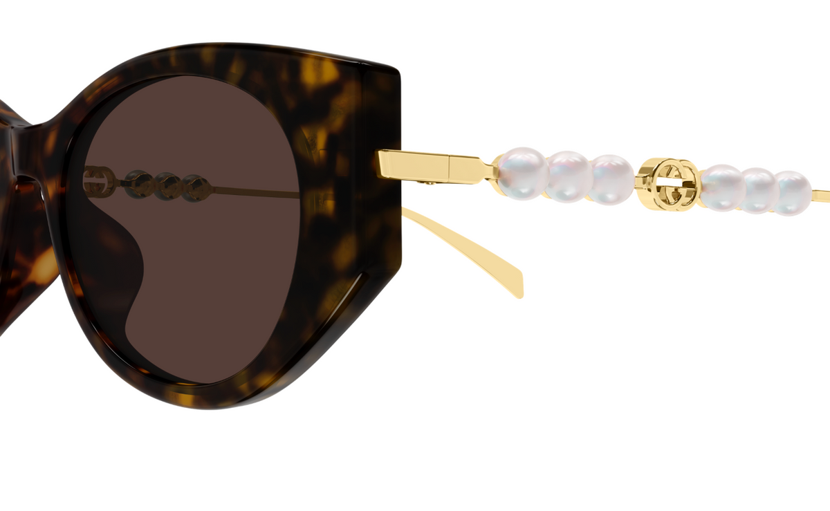 Gucci GG1970SA-003 sunglasses in brown frame with brown lenses