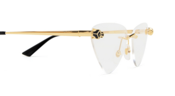 Cartier CT0448o-002 60mm