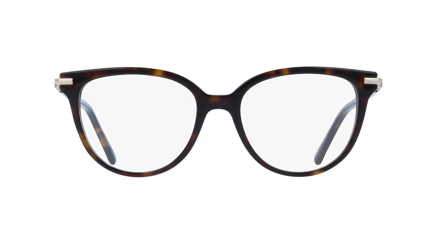 Salvatore Ferragamo SF3026-242-5217 52mm