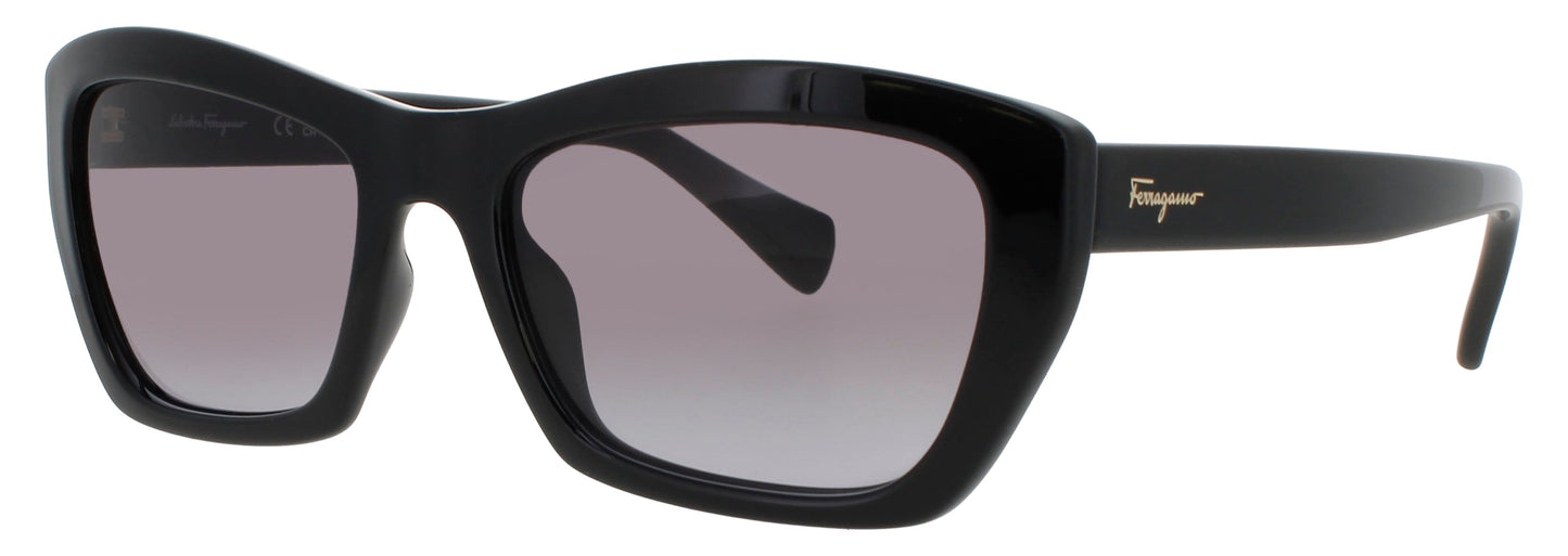Salvatore Ferragamo SF958S-001 55mm