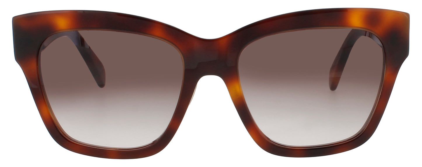 CELINE-CL40253F-53K