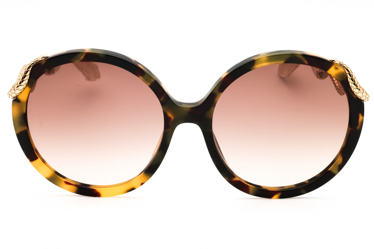 Roberto Cavalli SRC004M-0AGG 59mm