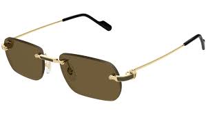 Cartier CT0498S-005 55mm New Sunglasses