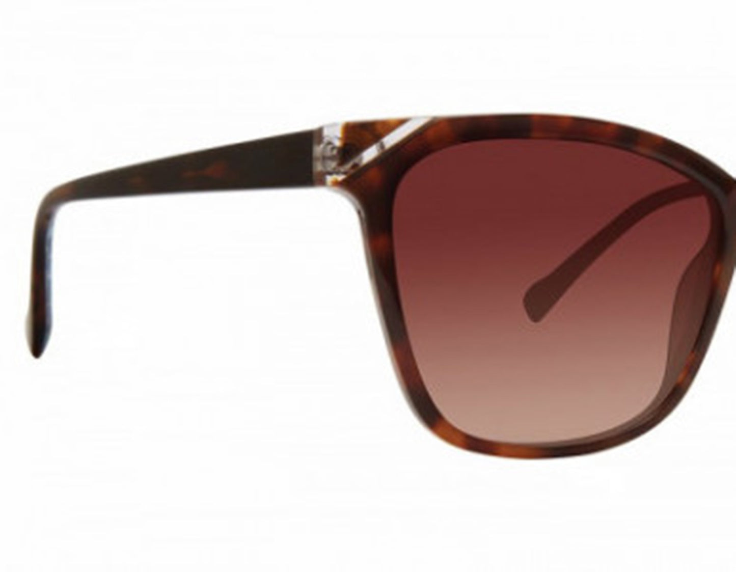 Vera Bradley KAYA DREAMER PAISLEY 54mm New Sunglasses