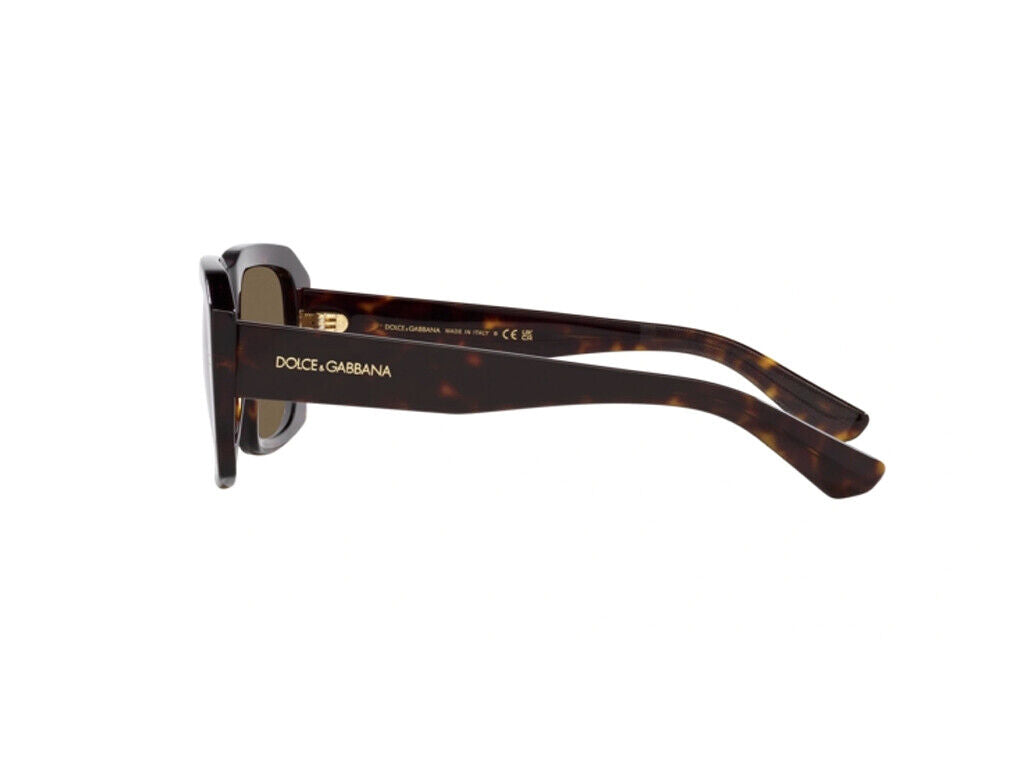 Dolce & Gabbana 0DG4430-502/73 54mm New Sunglasses