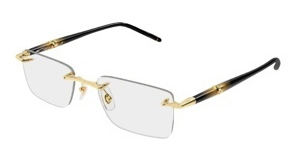Mont blanc MB0536o-003 54