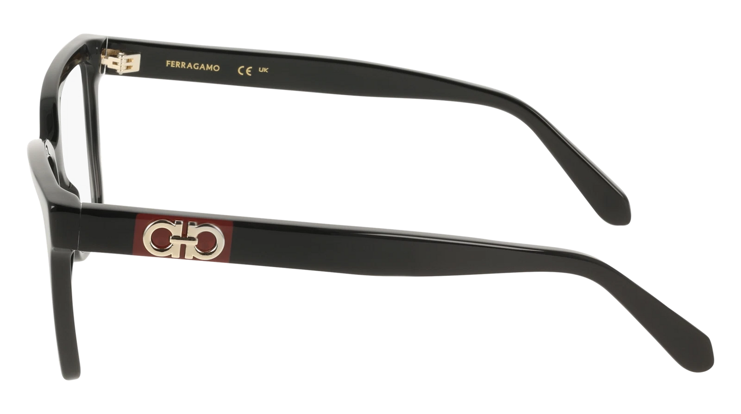 Salvatore Ferragamo SF3060-001-5416 54mm
