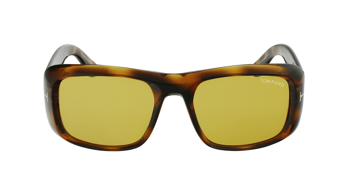 Tom Ford FT0731-5656E 56mm New Sunglasses