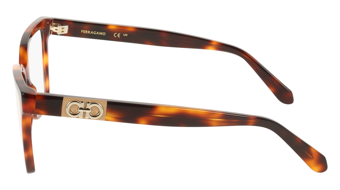 Salvatore Ferragamo SF3060-240-5416 54mm