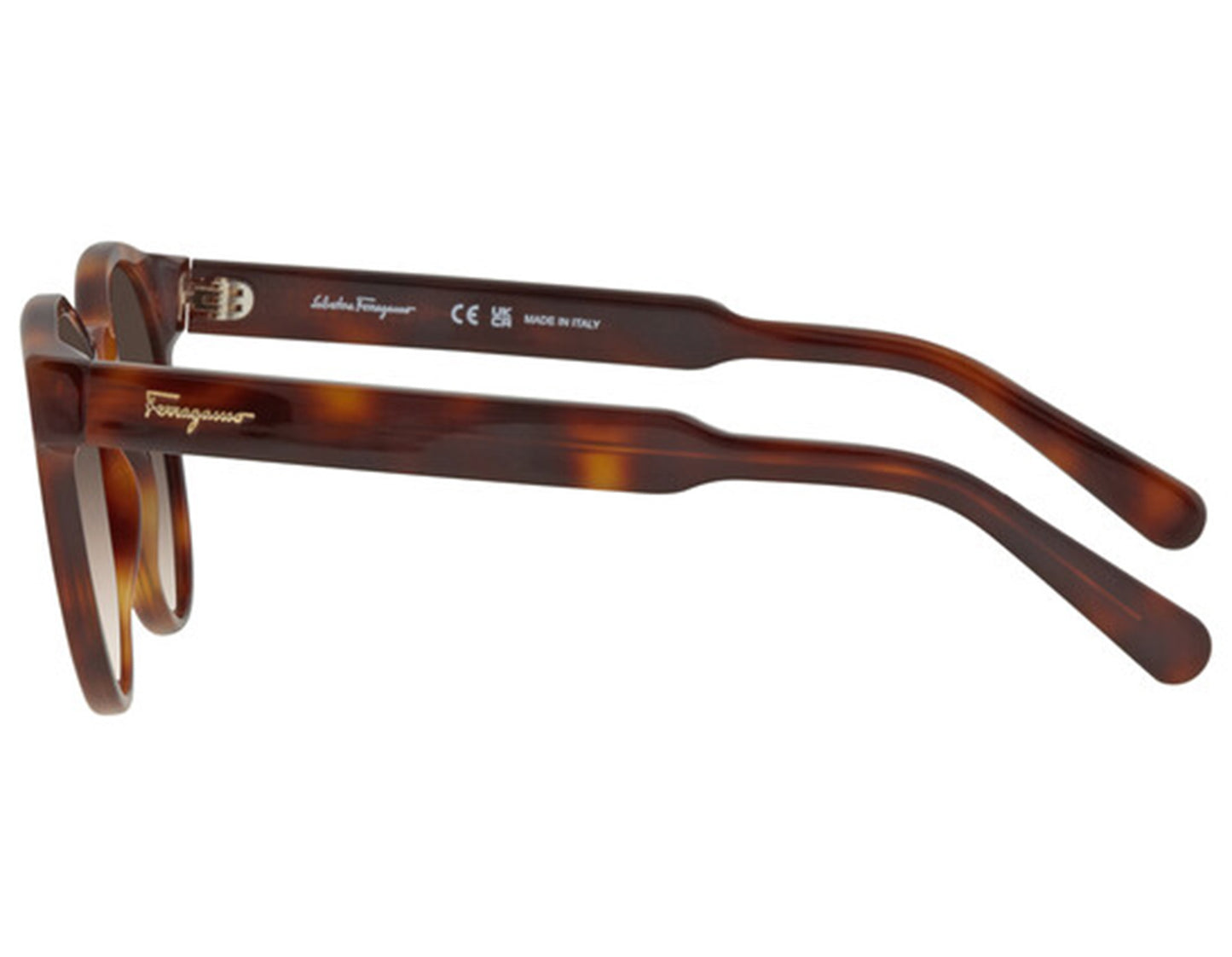 Salvatore Ferragamo SF1068S-240 52mm New Sunglasses