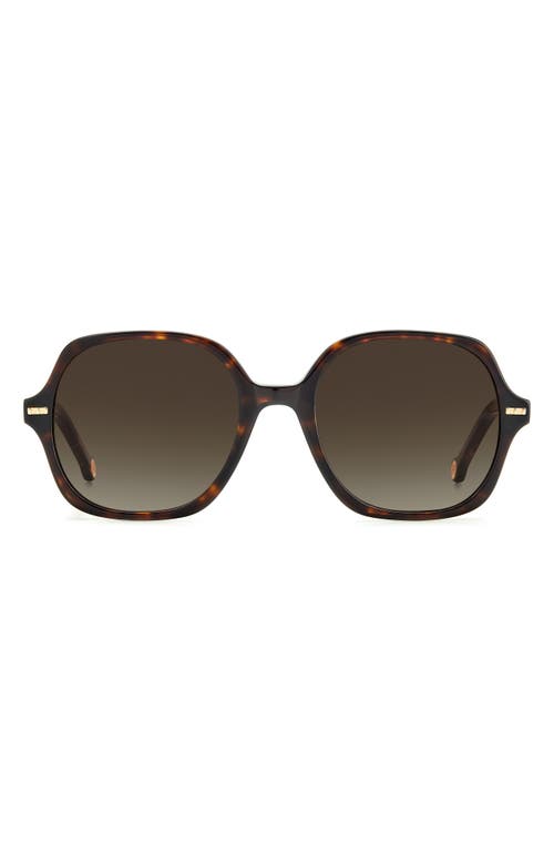 Carolina Herrera CH0106S-O63-55  New Sunglasses