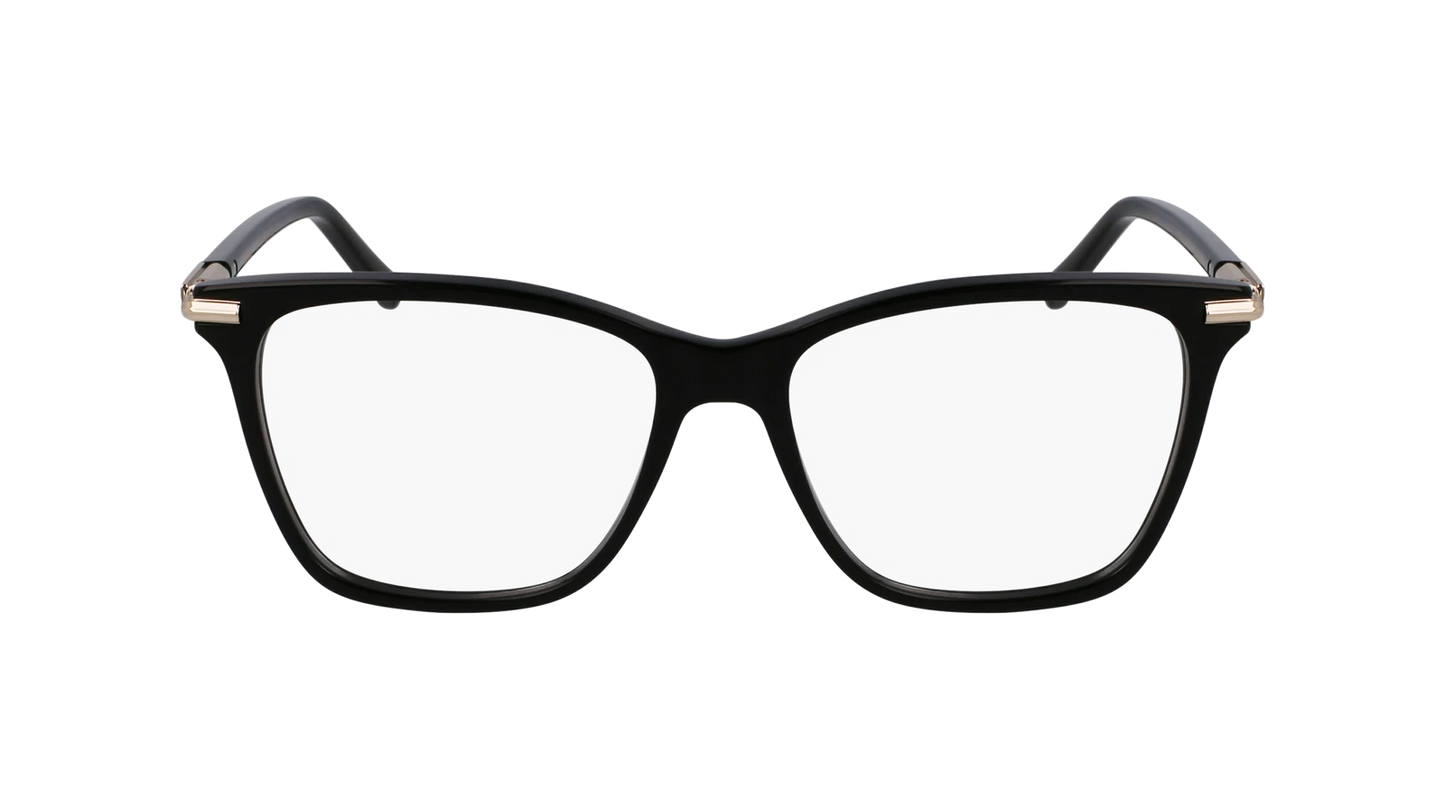 Salvatore Ferragamo SF3013-001-5315 53mm