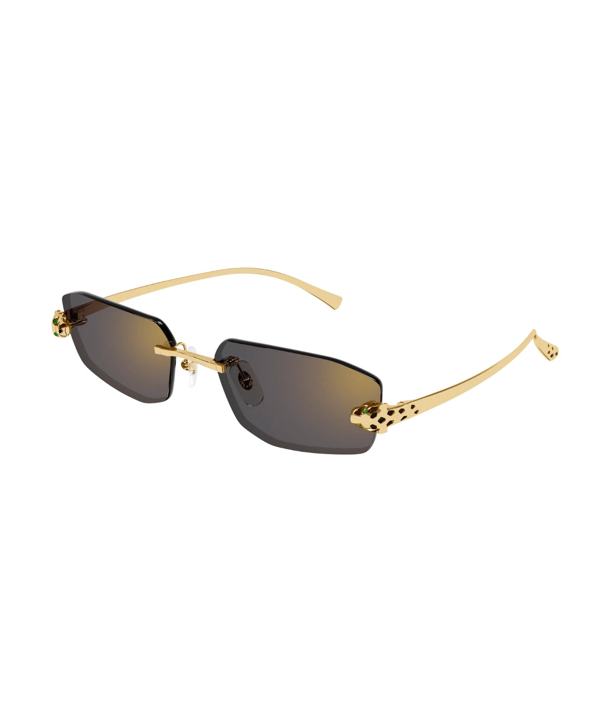 Cartier CT0474S-001 56