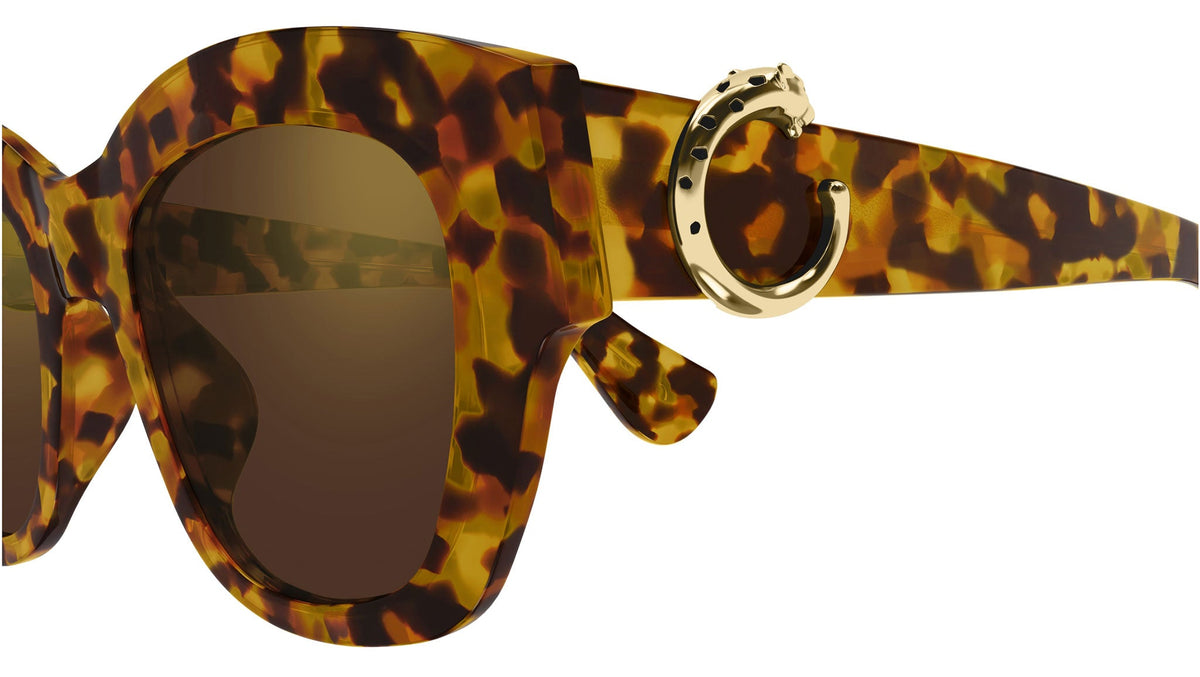 Cartier CT0547S-005 52
