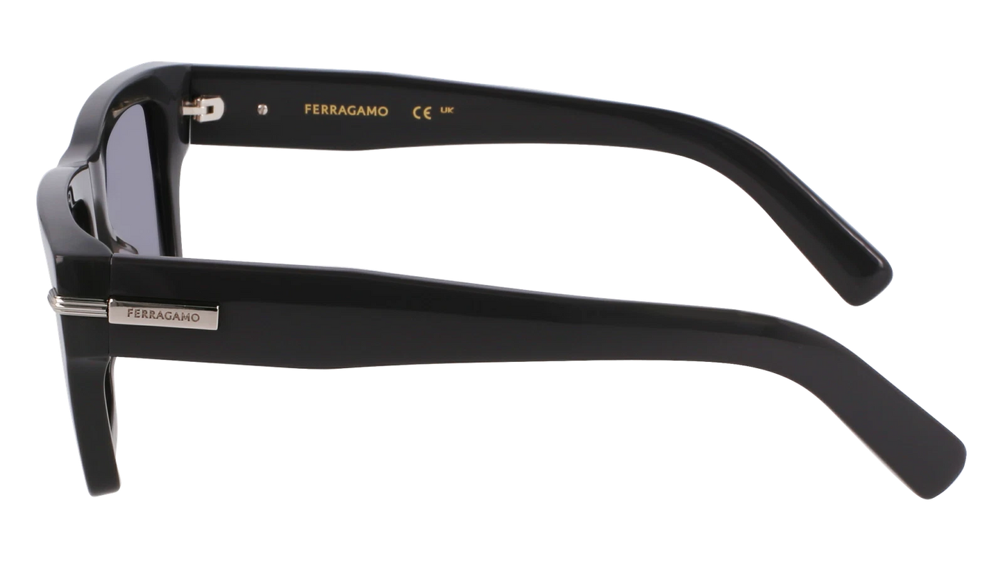 Salvatore Ferragamo SF2033S-019-5320 53mm New Sunglasses