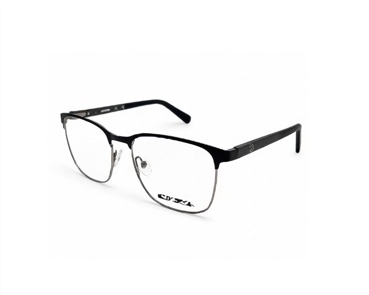 HARLEY DAVIDSON HD50035-091-54 eyeglasses in matte blue / silver frame