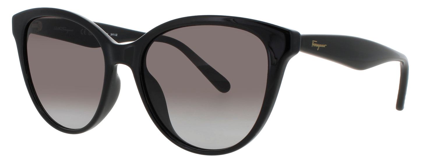 Salvatore Ferragamo SF1073S-001 54mm