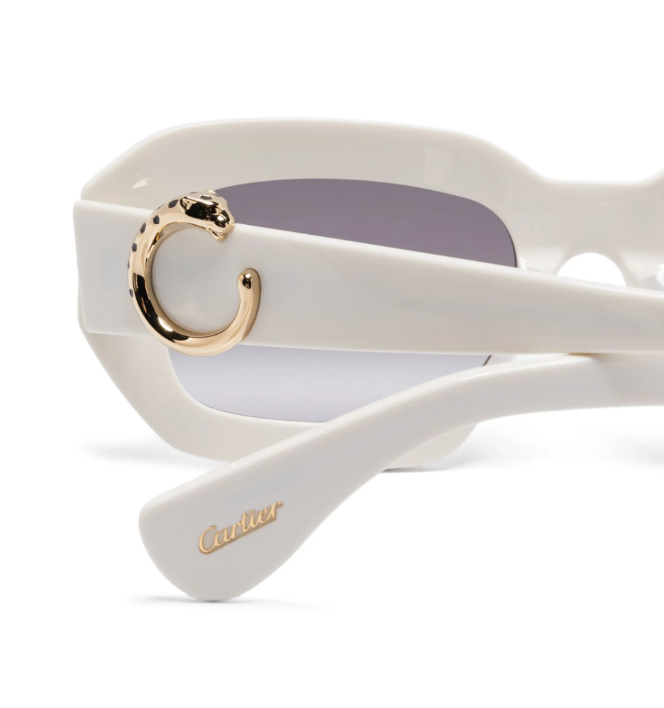 Cartier CT0546S-003 52