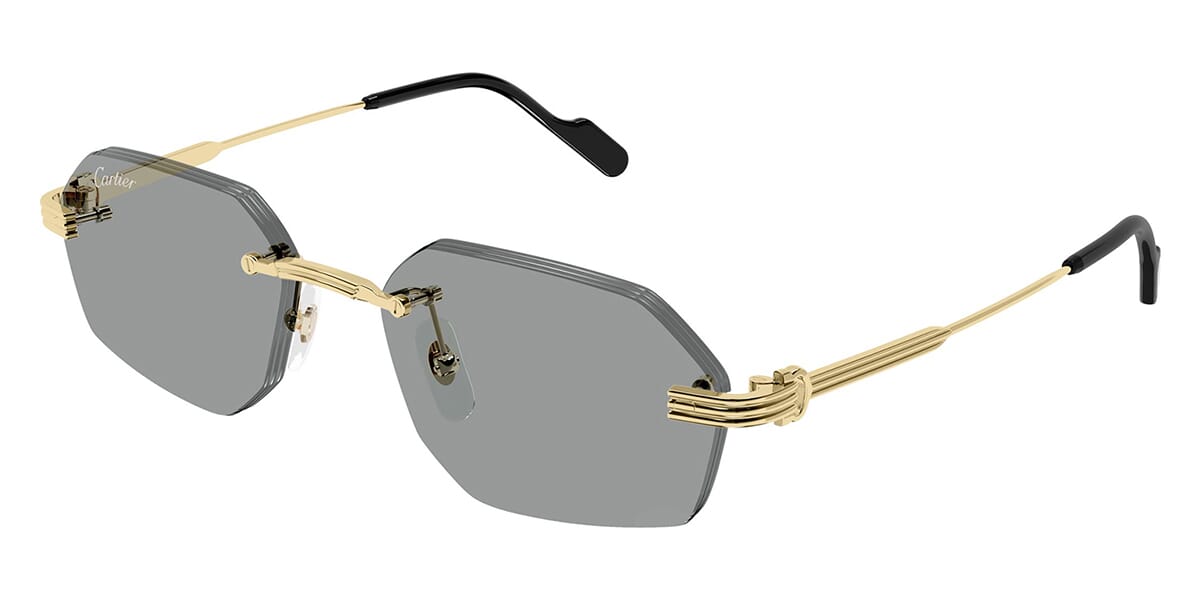 Cartier CT0616S-004 54mm