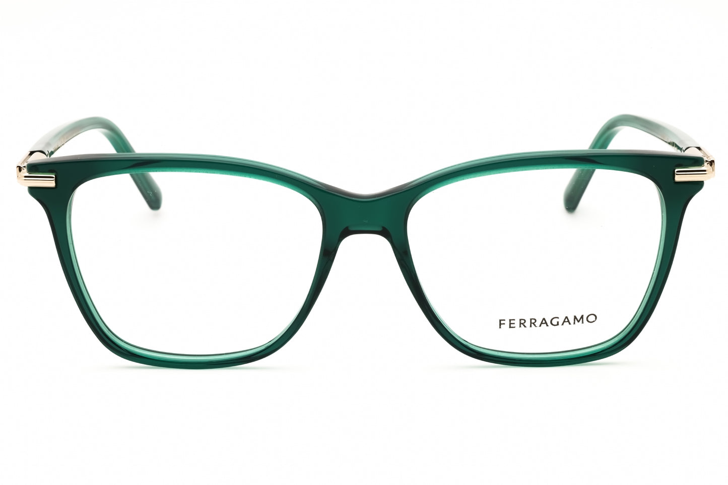 Salvatore Ferragamo SF3013-317 53mm
