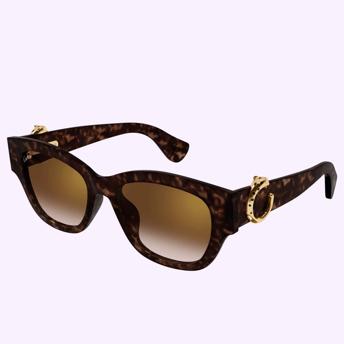 Cartier CT0548SA-002 0mm New Sunglasses