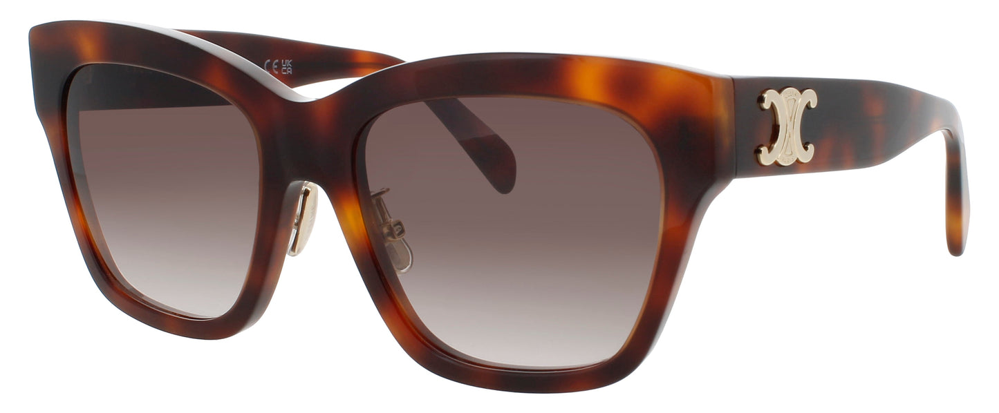 CELINE-CL40253F-53K