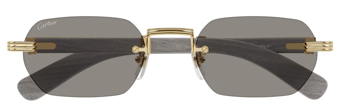Cartier CT0362S-005 54mm
