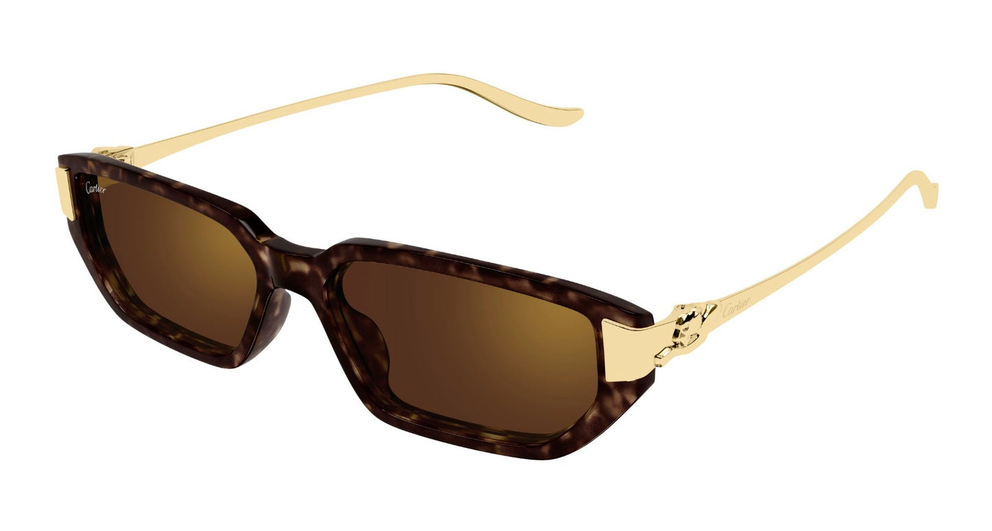 Cartier CT0674S-003 54
