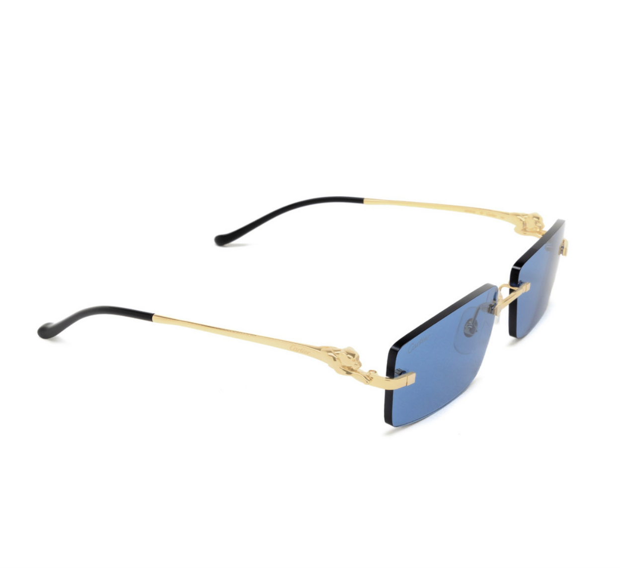 Cartier CT0430S-004 58mm