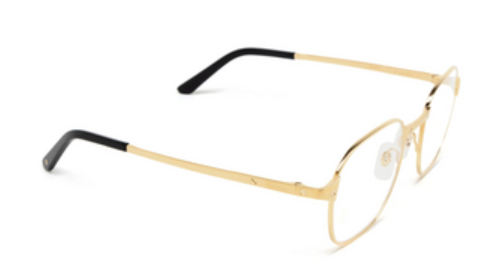 Cartier CT0441o-001 51mm