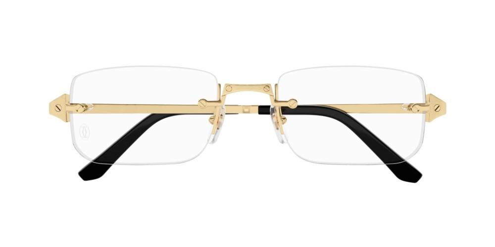 Cartier CT0479o-001 54mm