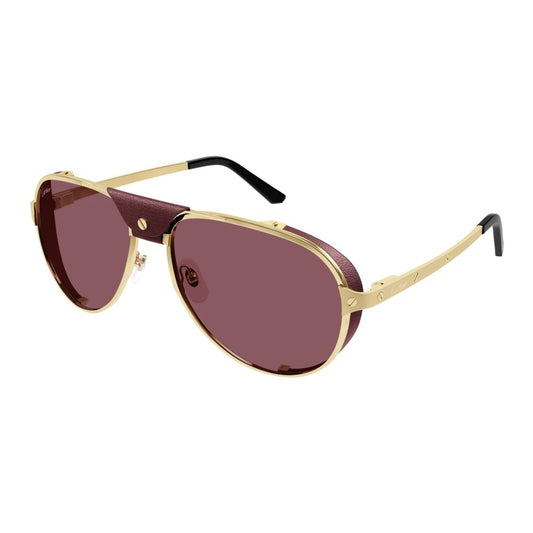 Cartier CT0296S-006 61