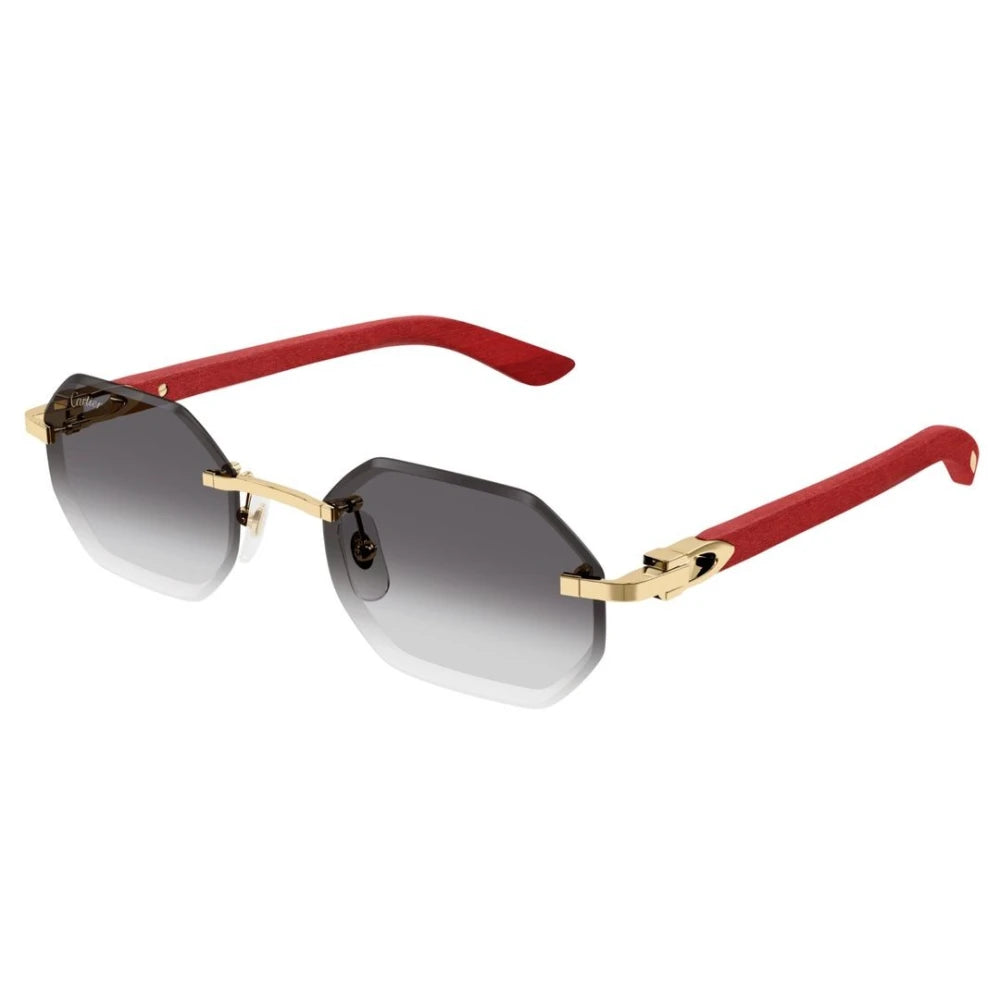 Cartier CT0439S-003 54