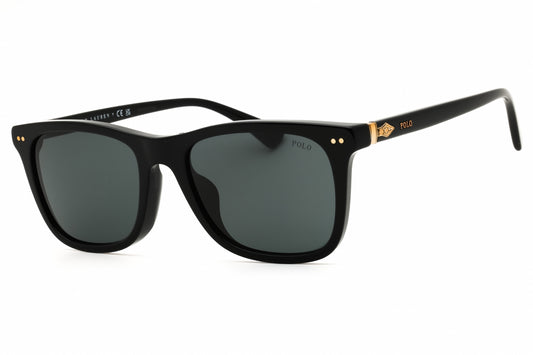 Polo Ralph Lauren PH4220F-500187 Missing