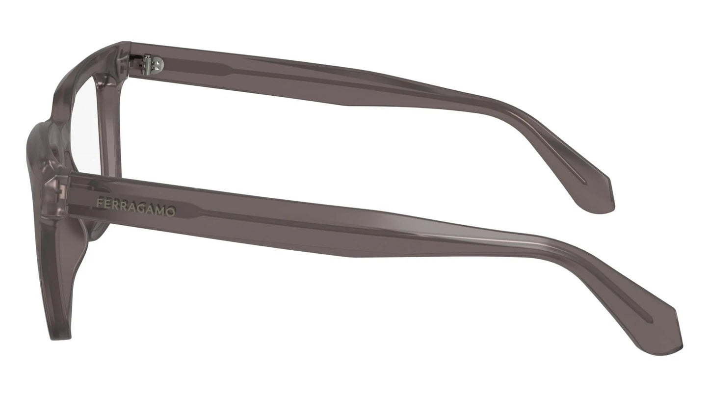 Salvatore Ferragamo SF2990-020-5221 52mm