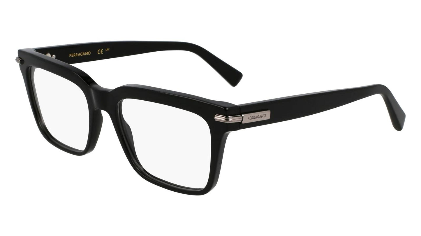 Salvatore Ferragamo SF3014-001-5518 55mm