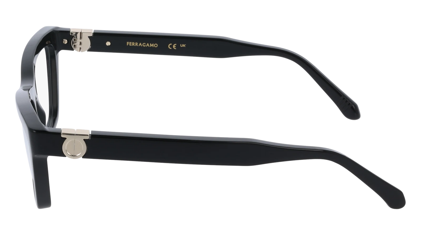 Salvatore Ferragamo SF3021-001-5416 54mm