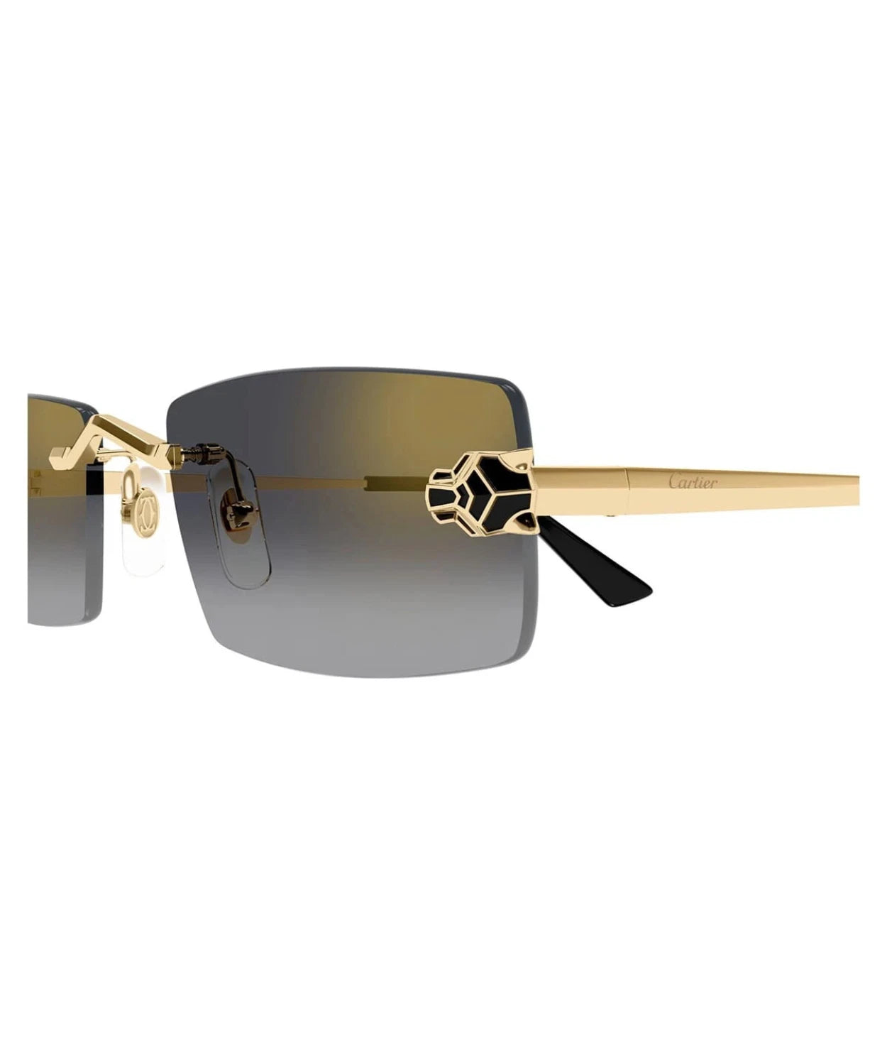 Cartier CT0598S-001 55mm New Sunglasses