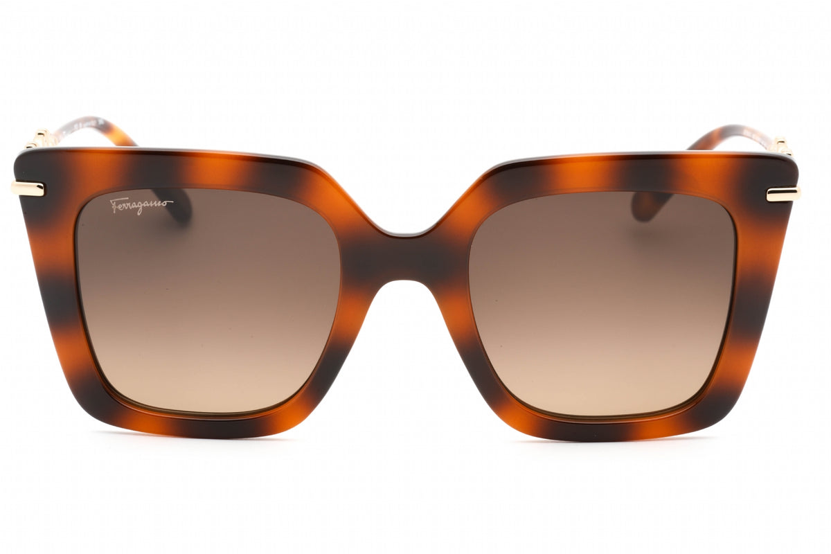 Salvatore Ferragamo SF1041S-238 51
