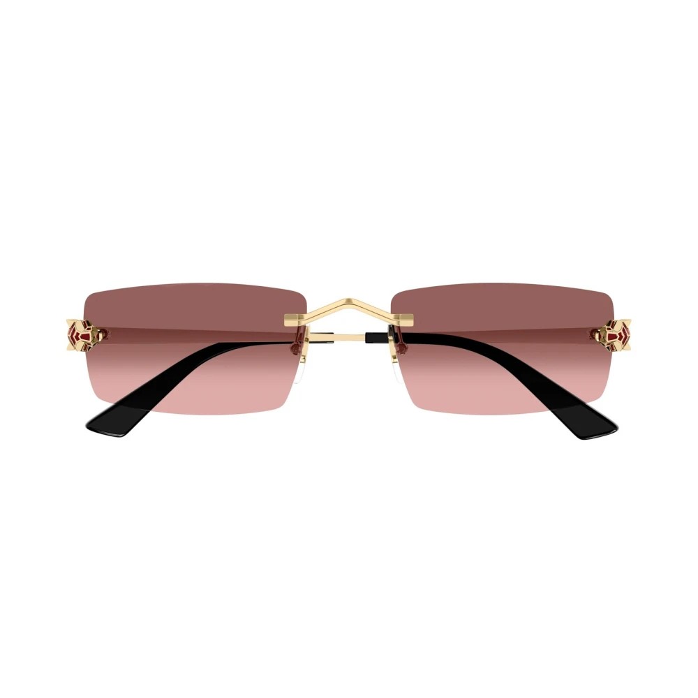 Cartier CT0598S-004 55mm