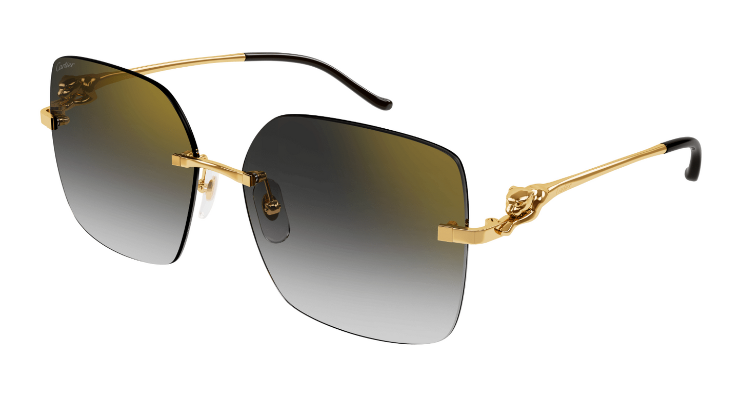 Cartier CT0359S-001 60mm