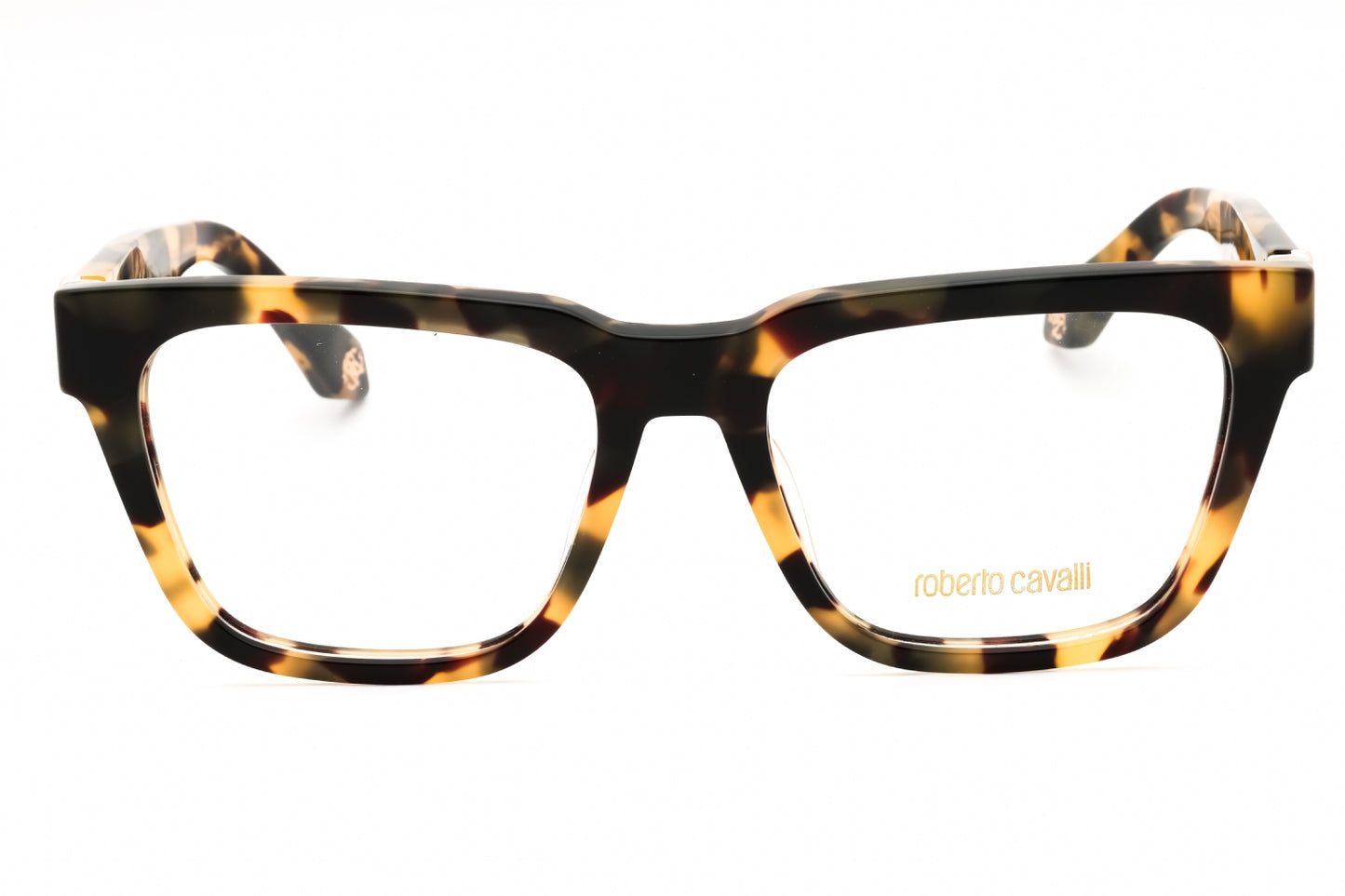 Roberto Cavalli VRC026M-0AGG 54