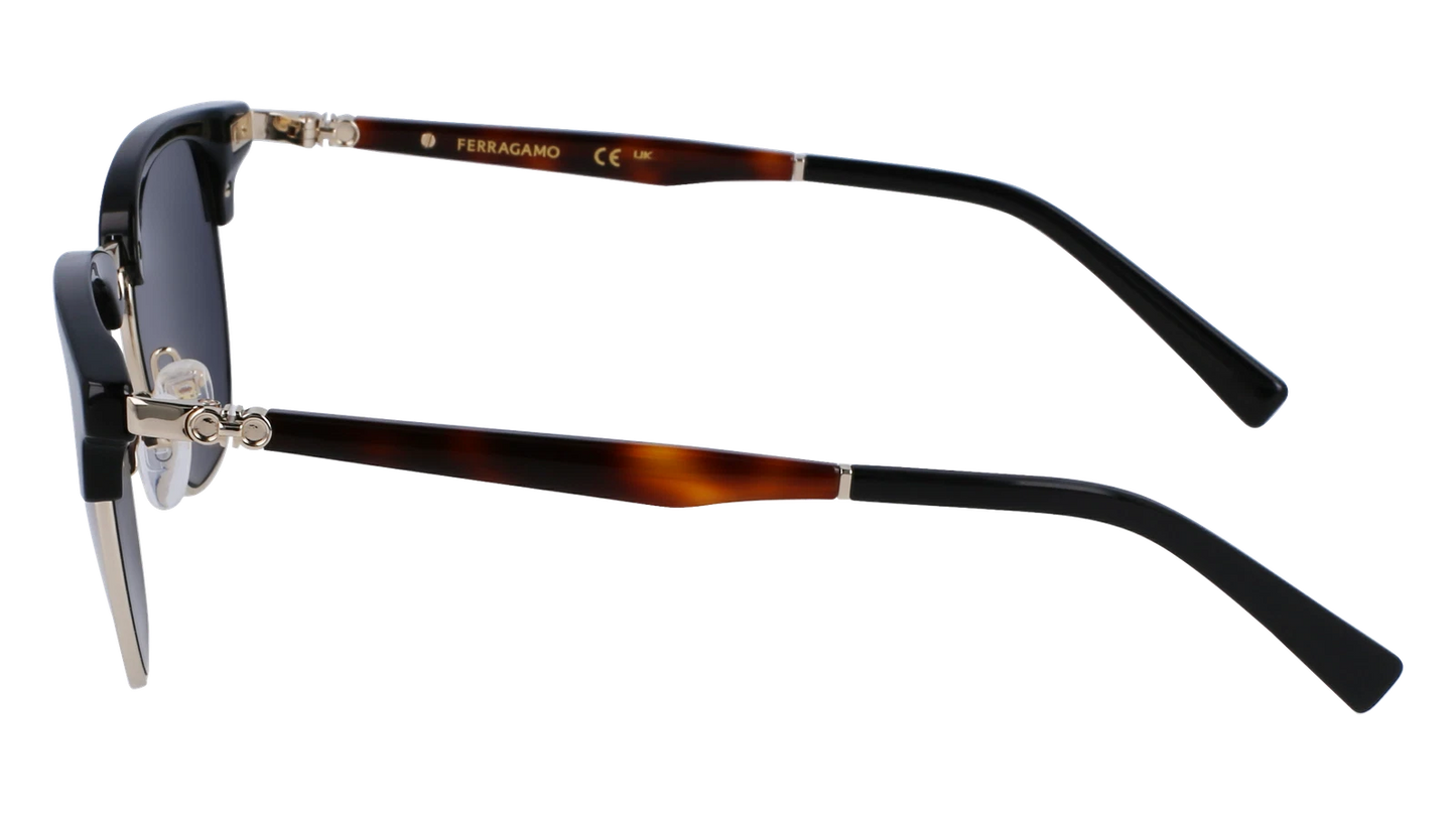 Salvatore Ferragamo SF307S-011-5320 53mm