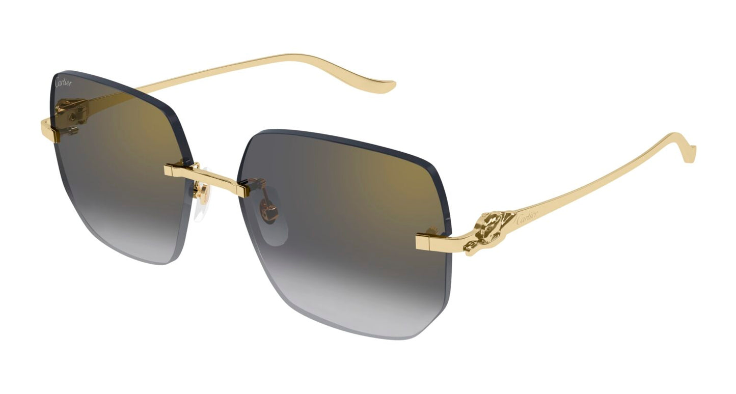 Cartier CT0549S-001 57mm New Sunglasses