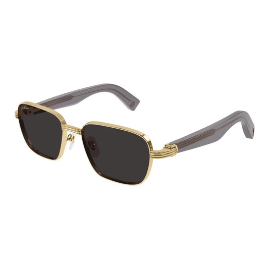 Cartier CT0538S-006 55mm New Sunglasses