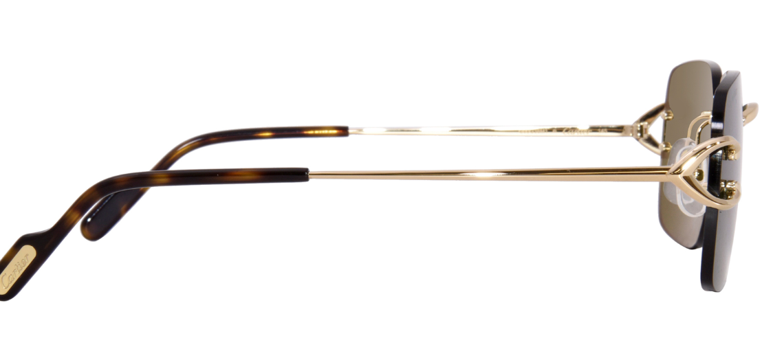 Cartier CT0330S-005 59mm